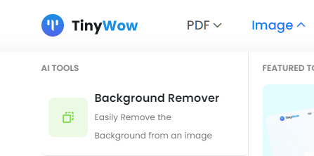 TinyWow - Background Remover